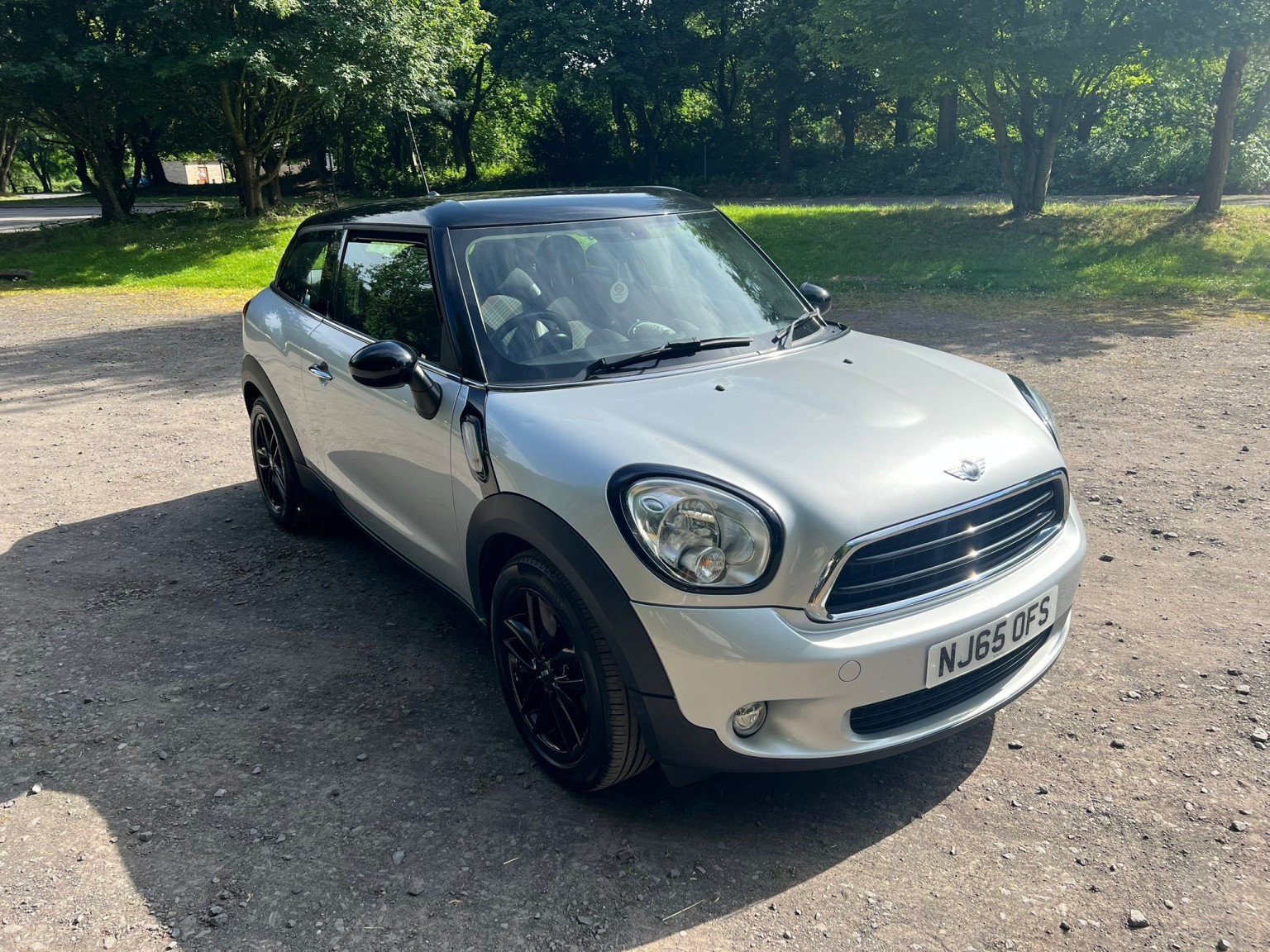  MINI PACEMAN