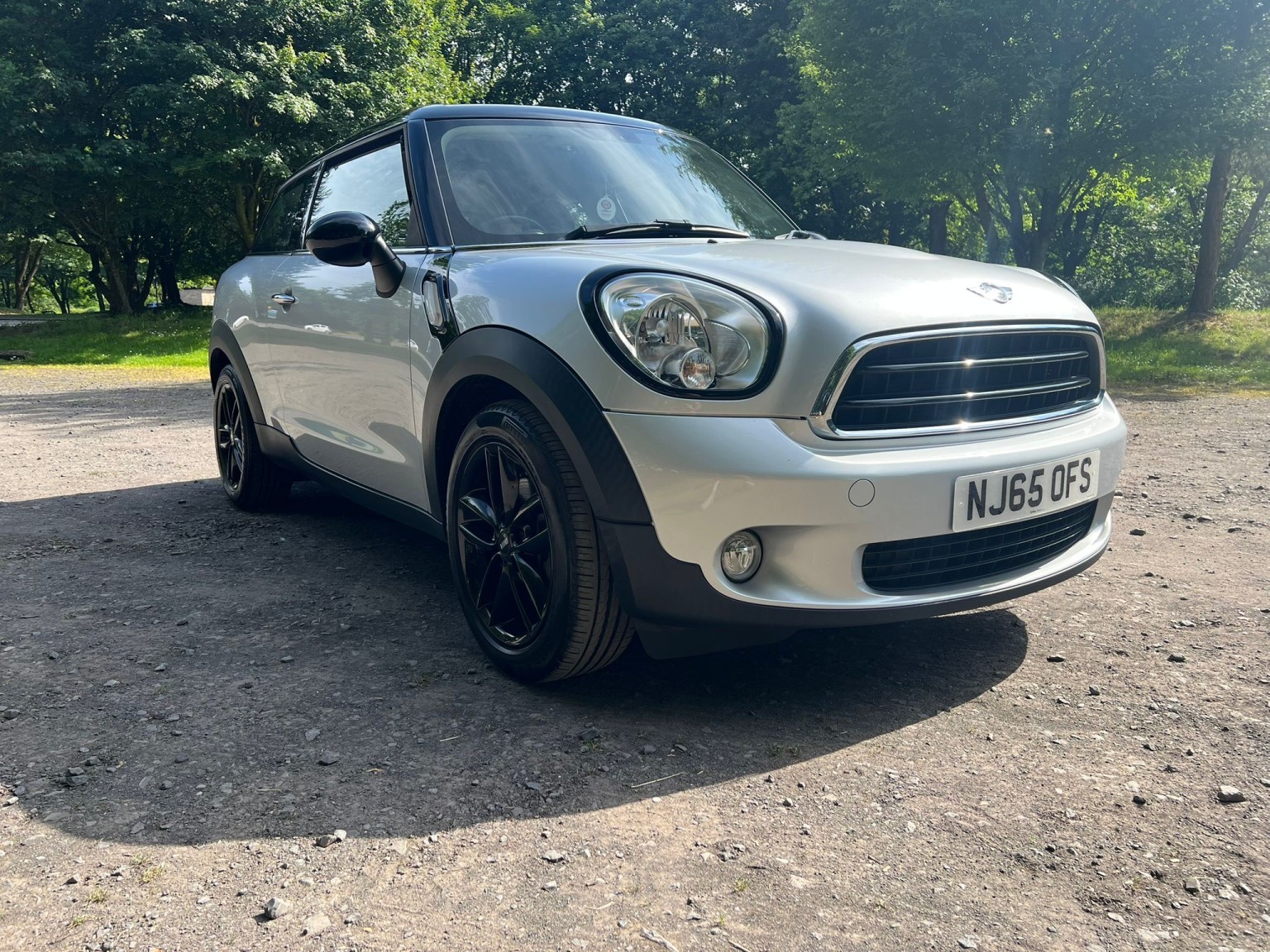  MINI PACEMAN