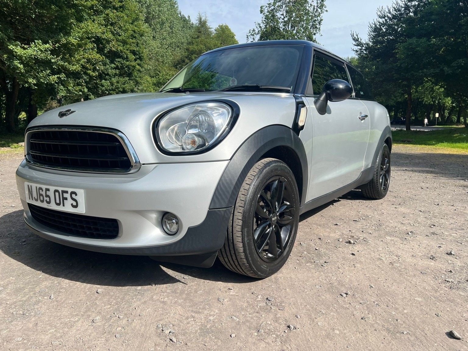  MINI PACEMAN