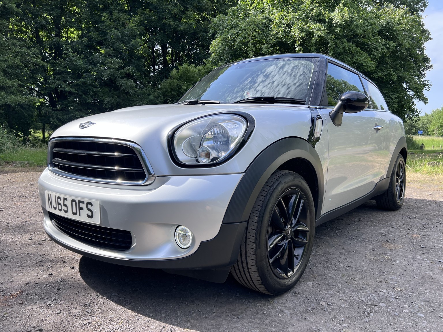  MINI PACEMAN
