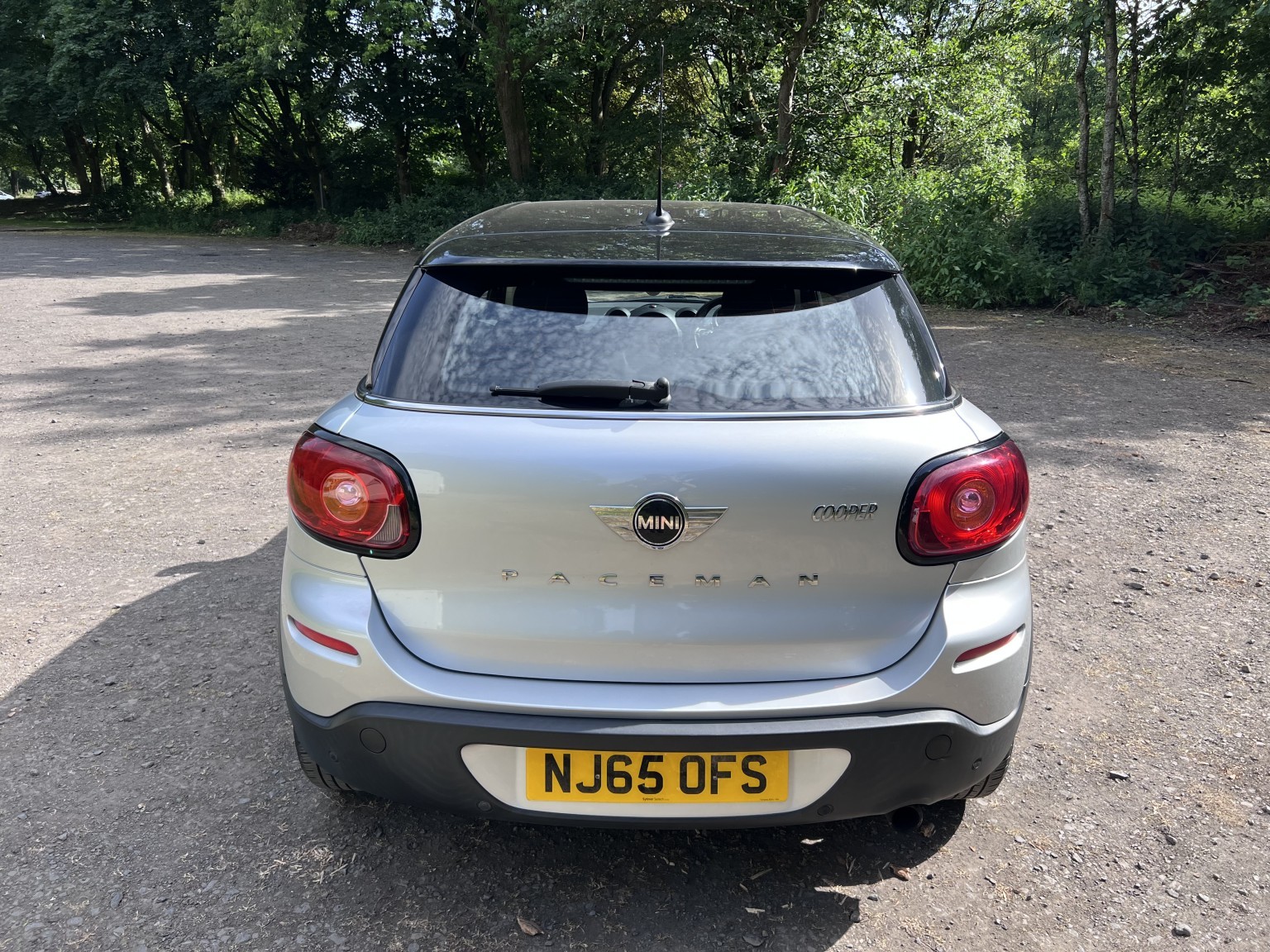  MINI PACEMAN