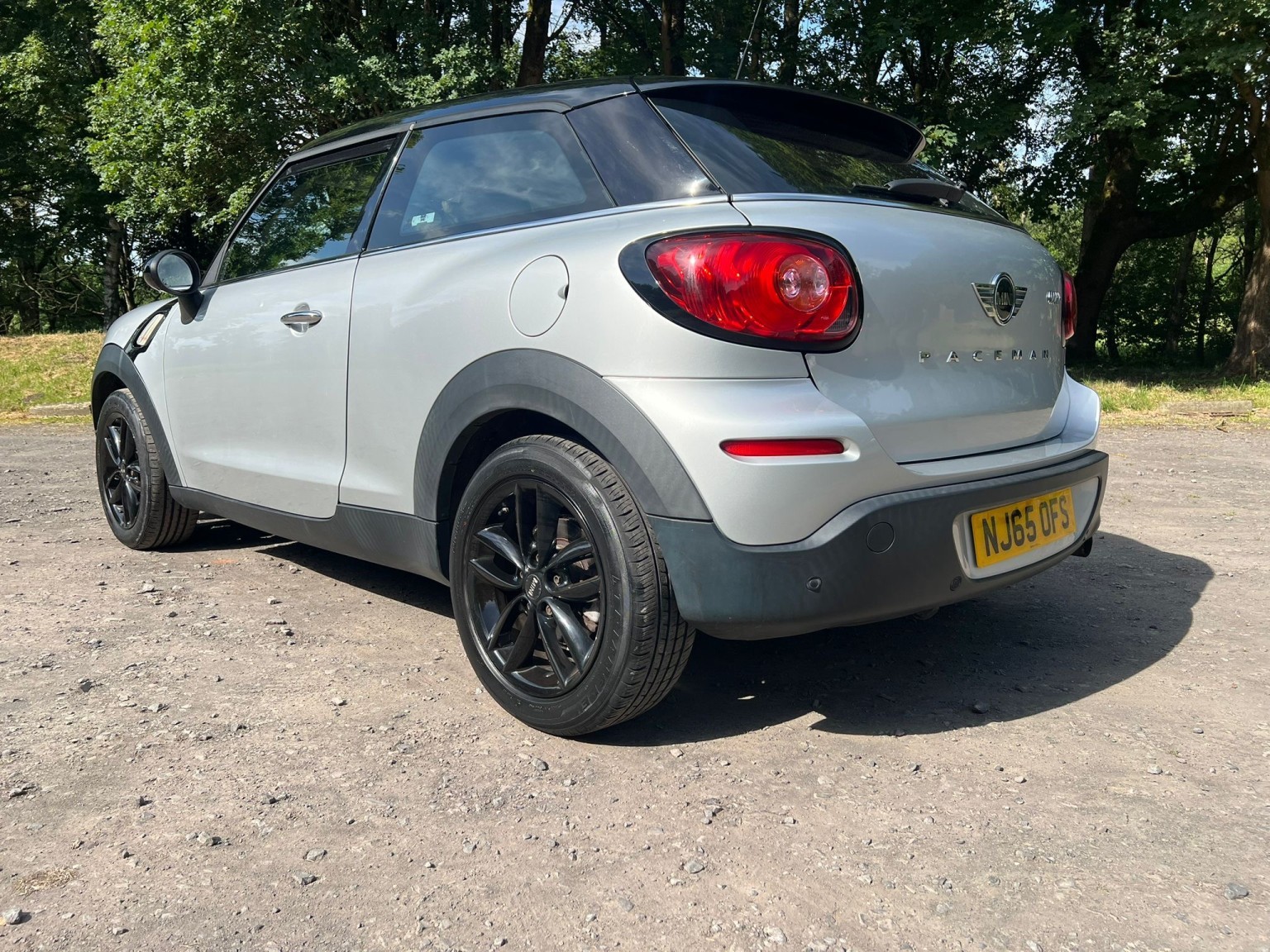  MINI PACEMAN