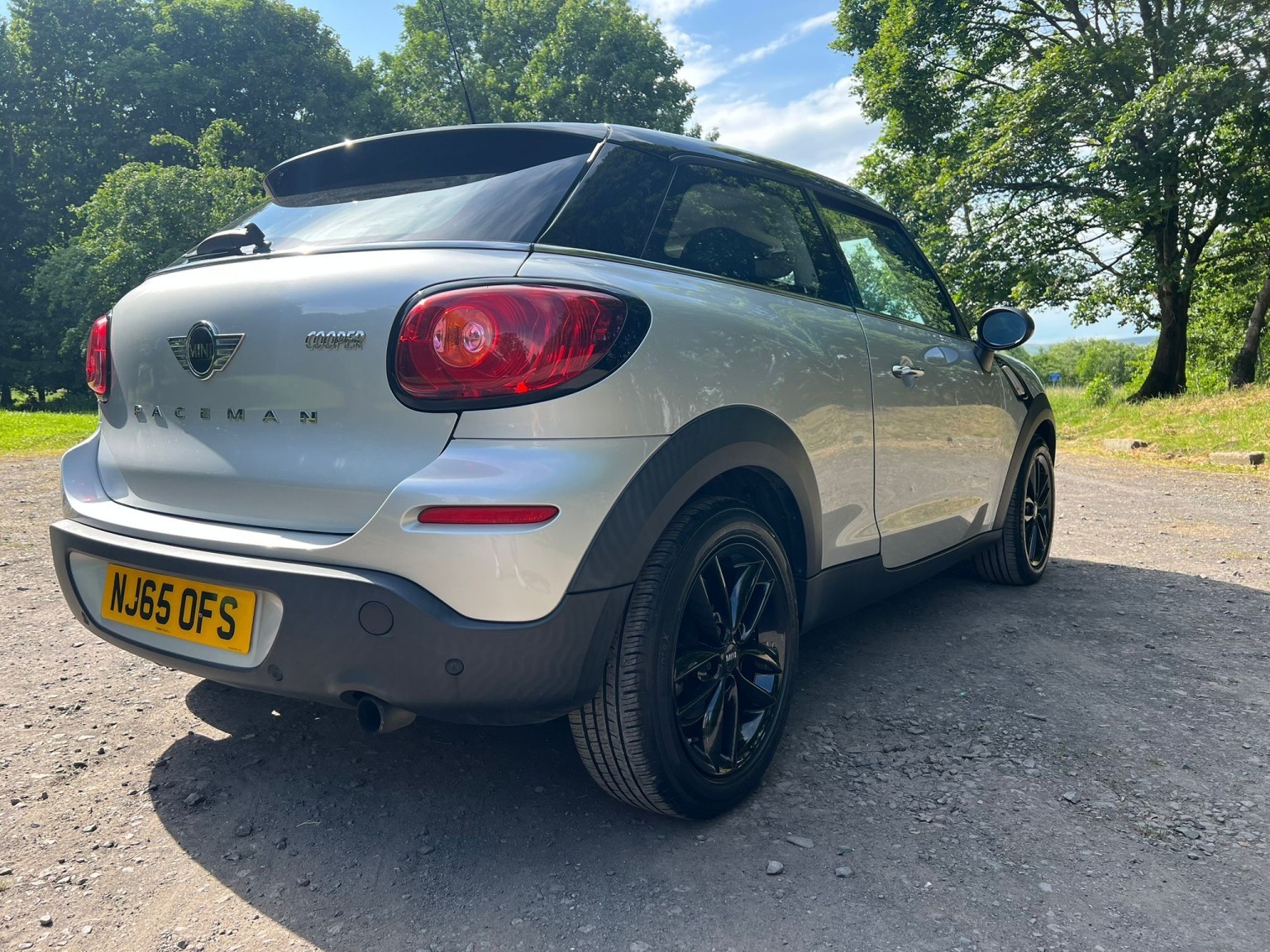  MINI PACEMAN