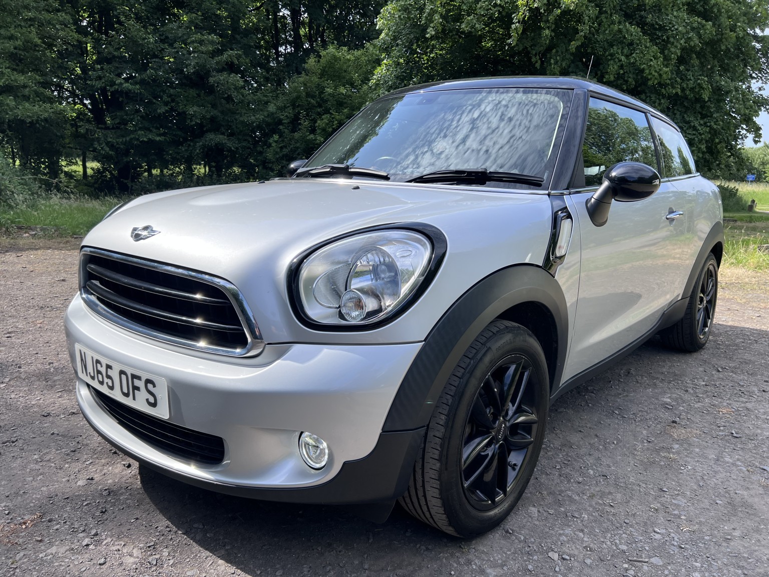 MINI PACEMAN