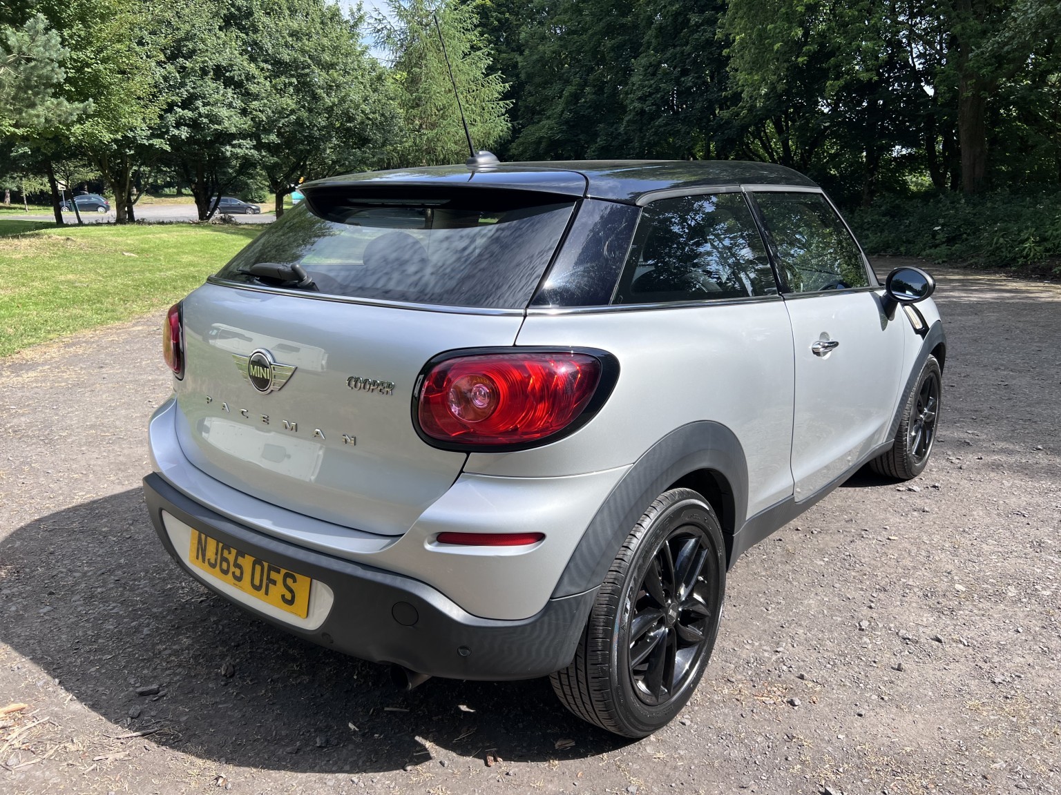  MINI PACEMAN