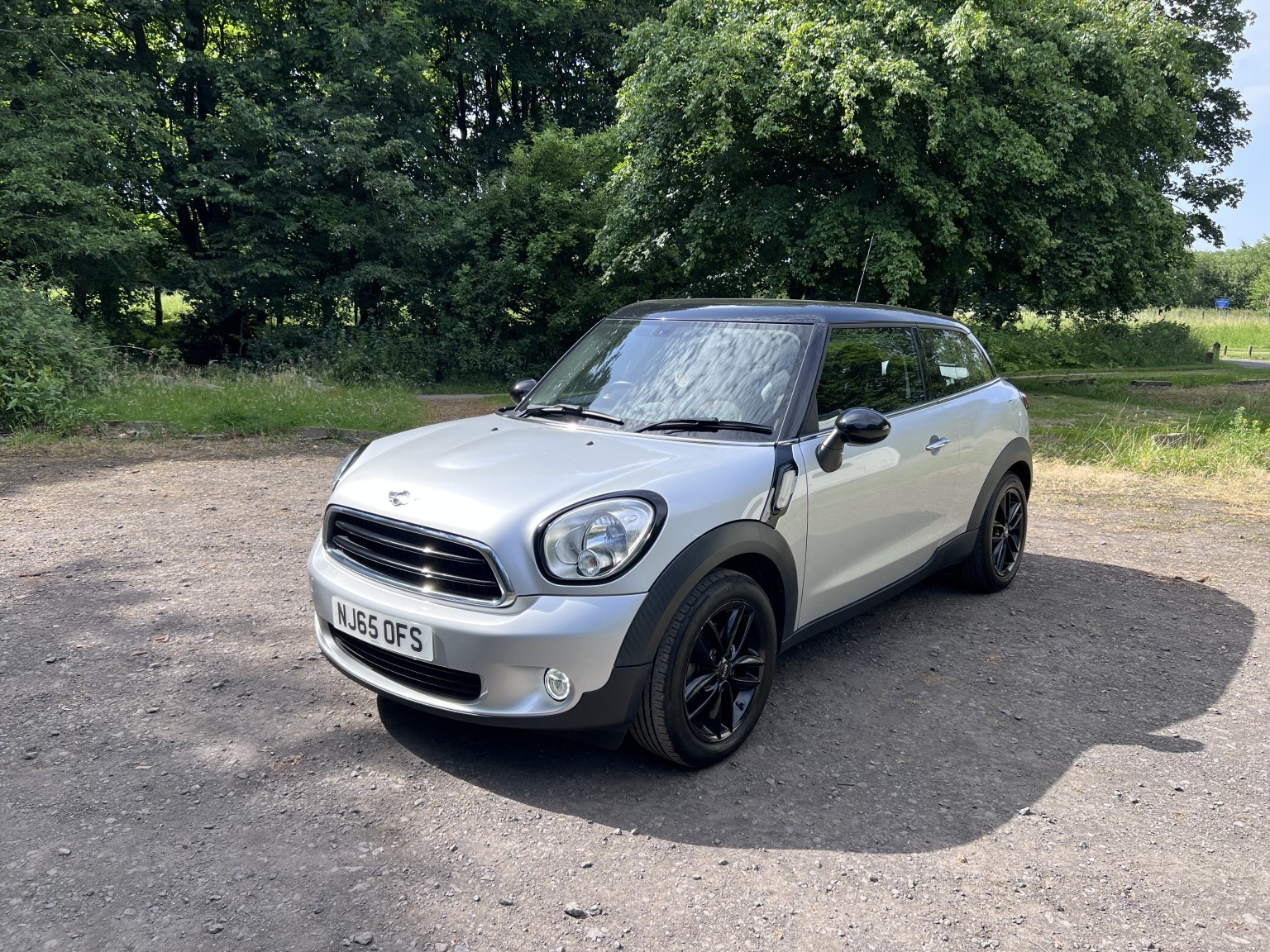  MINI PACEMAN