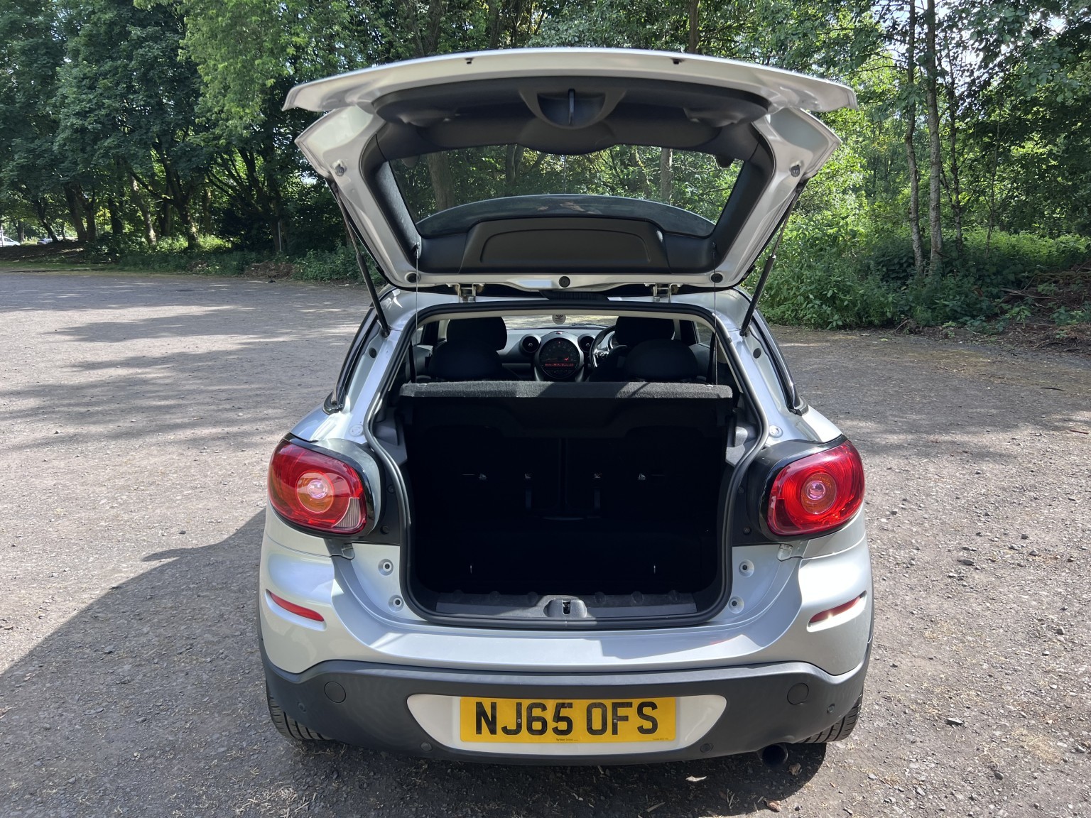  MINI PACEMAN