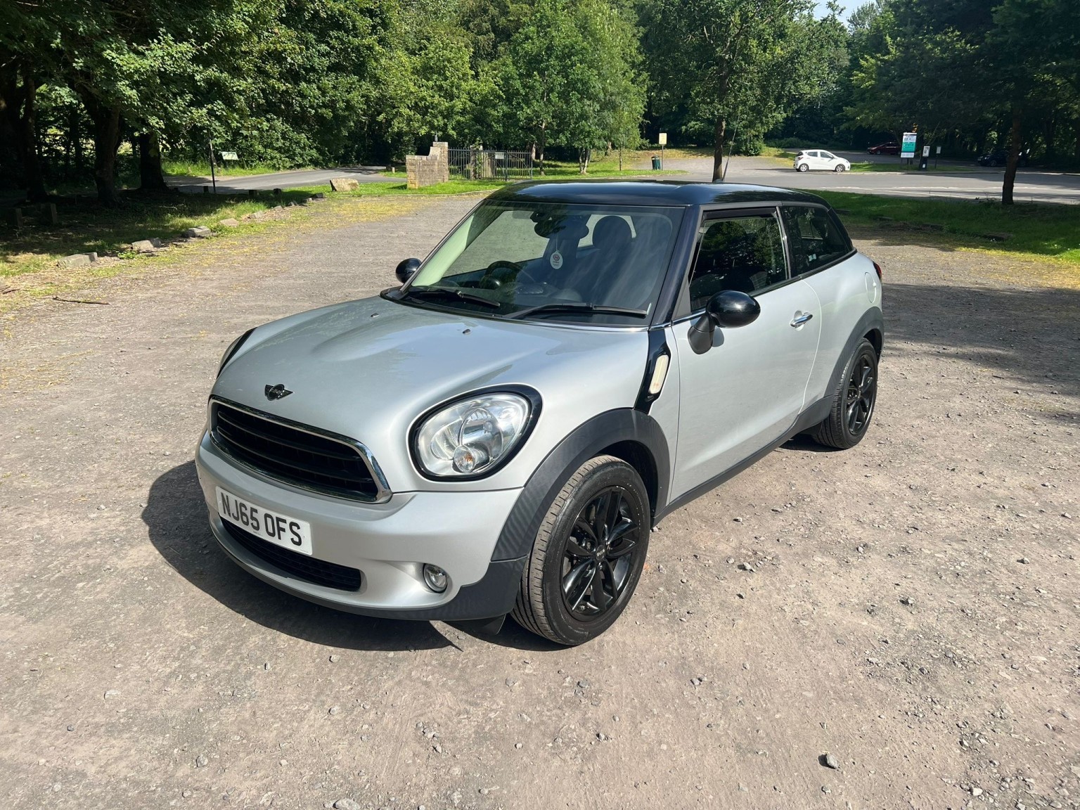 MINI PACEMAN